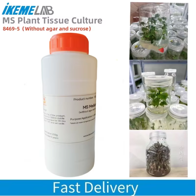 Agar Tissue Culture - IKEME-Laboratoire MS Medium sans agar ni