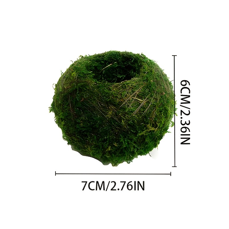 Pot de mousse artificielle, po - Sphagnum Moss Dry avis et prix