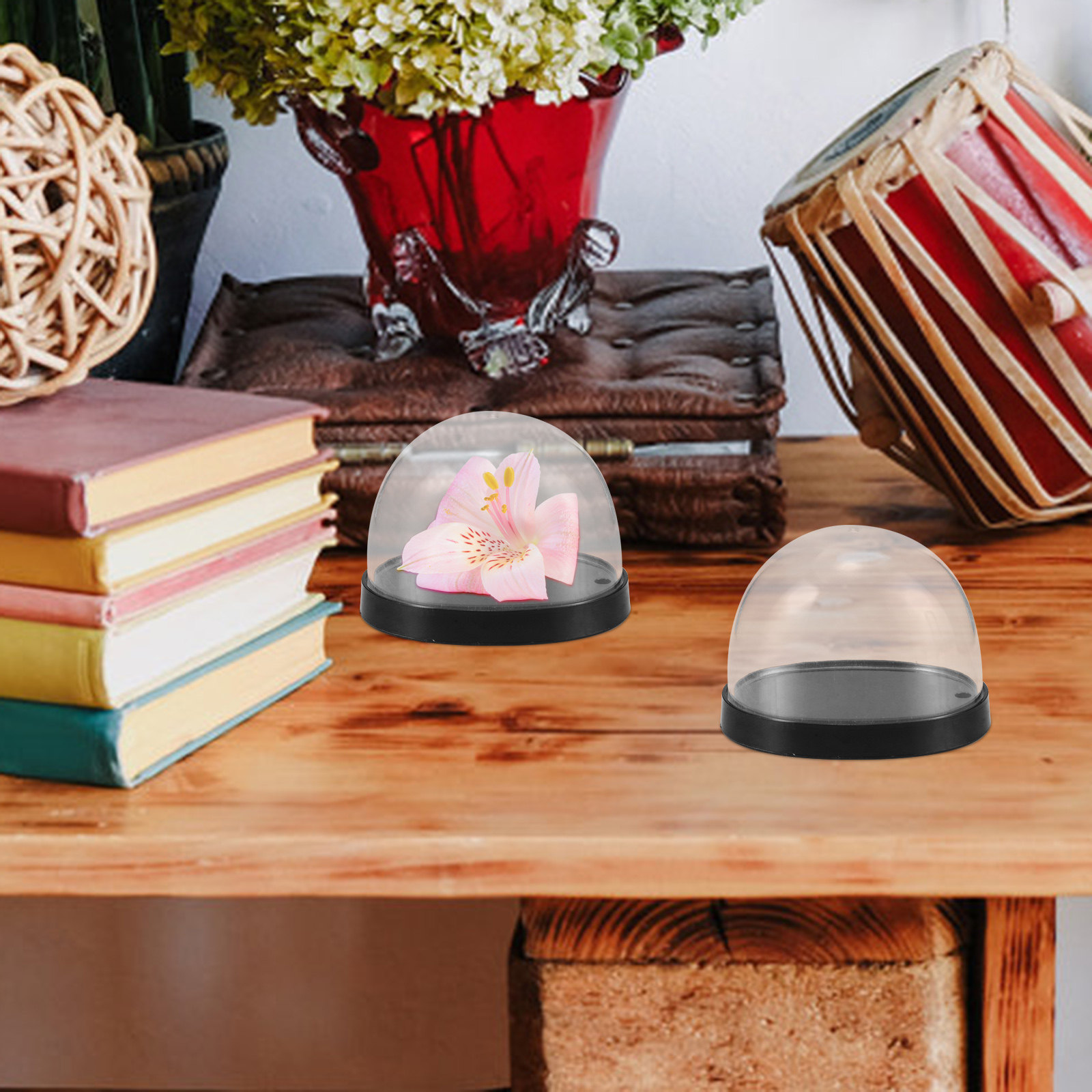 5 Ensembles de Cloches en Plas - Plastic Dome Clear avis et prix