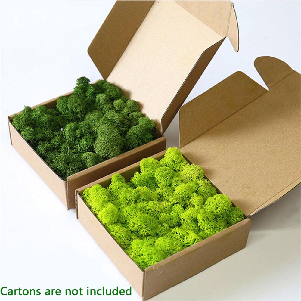 Mousse Artificielle pour Décor - Sphagnum Moss Dry avis et prix