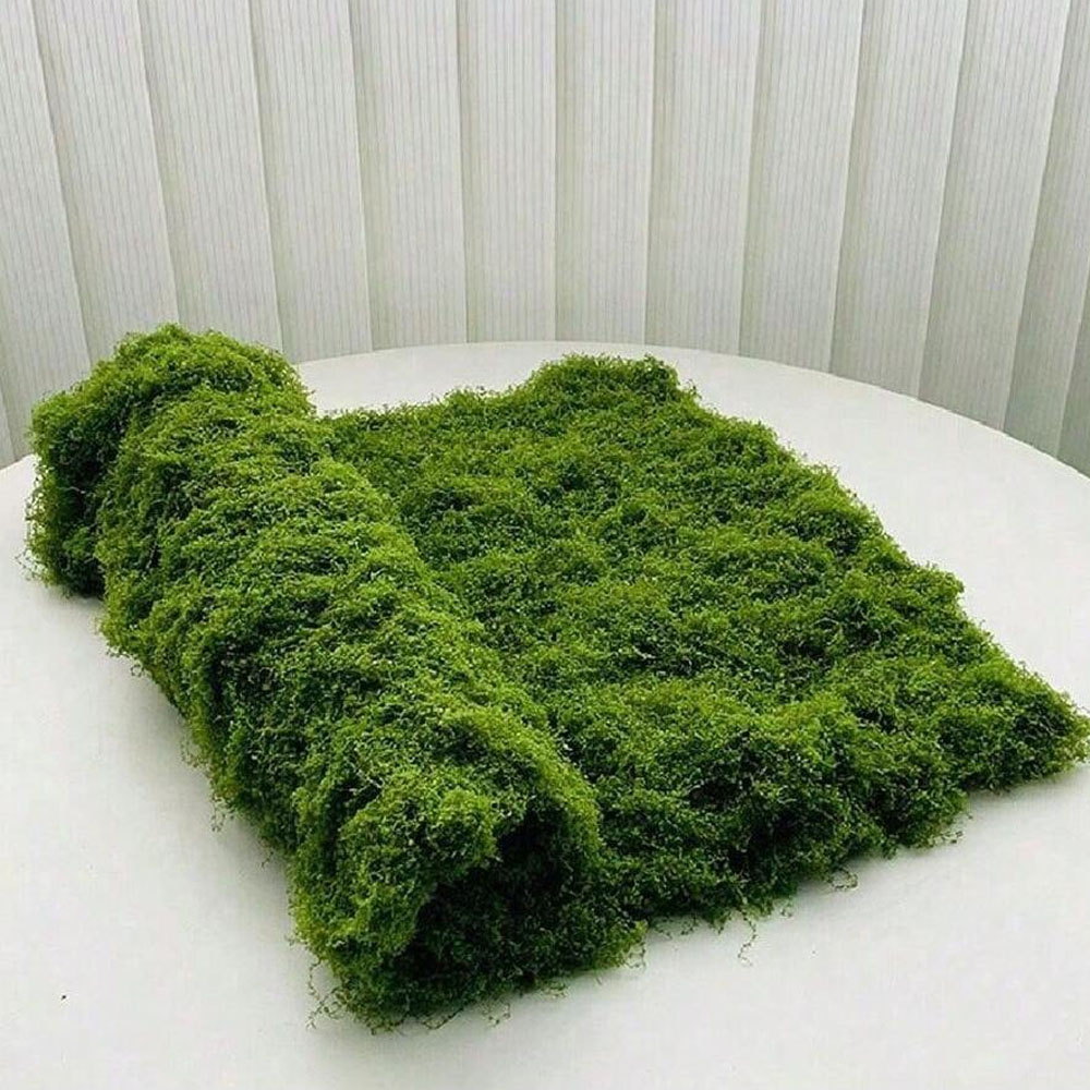 1*1m fausse mousse bricolage a - Sphagnum Moss Dry avis et prix