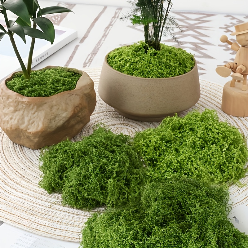 Mousse artificielle réaliste,  - Sphagnum Moss Dry avis et prix